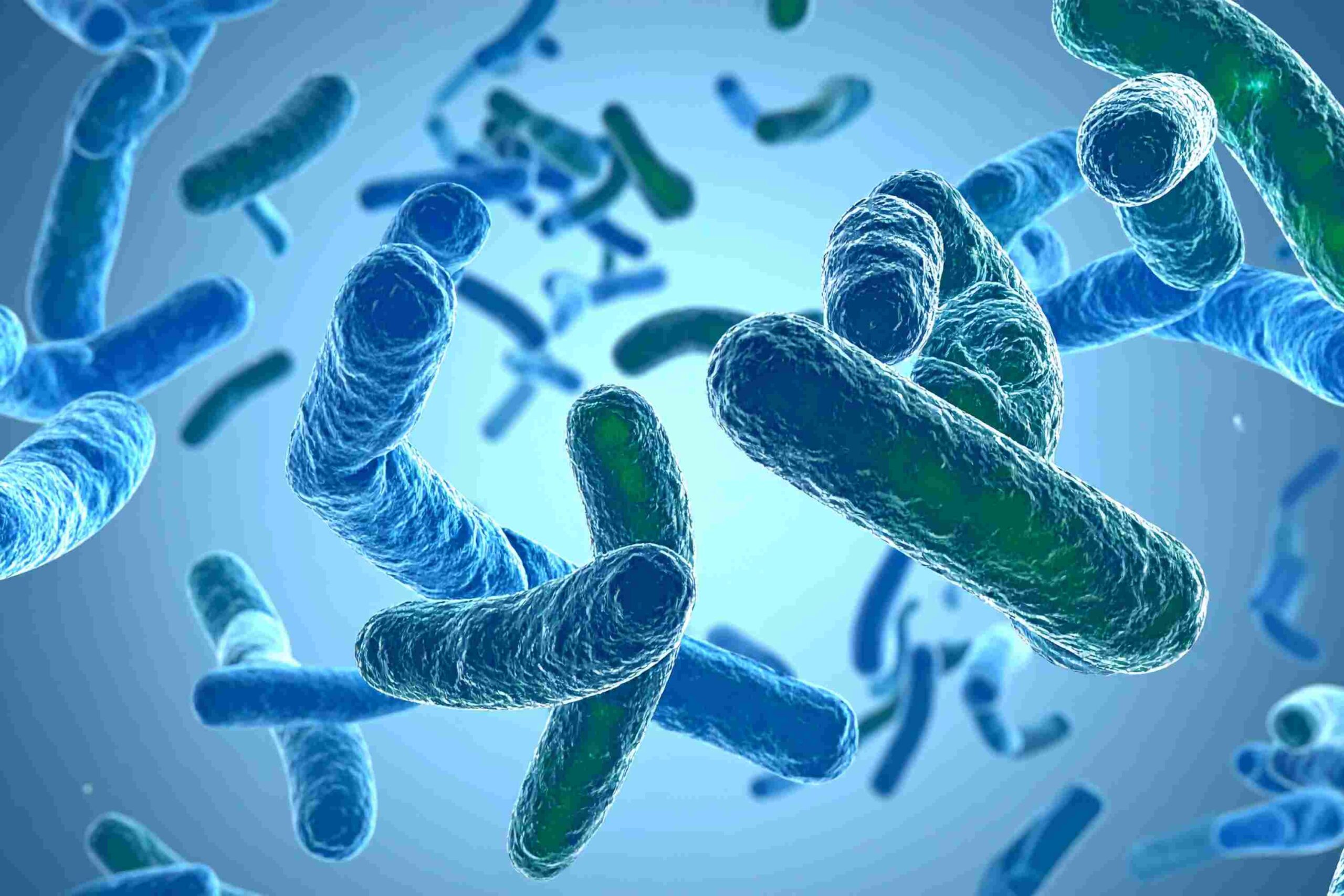 Spitalerworbene Infektionen effizient überwachen Bakterien im Bild, Illustration, Canva