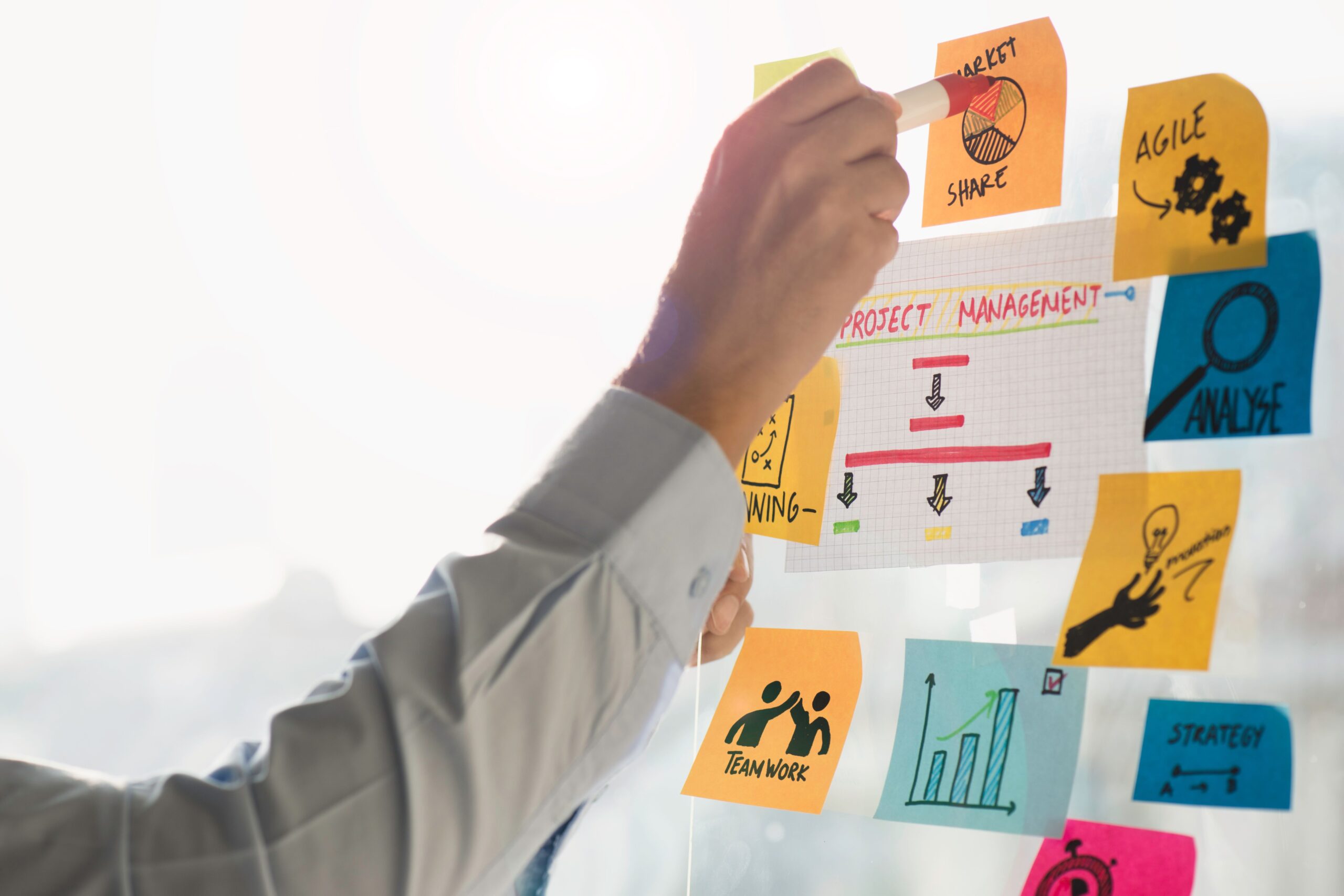 management transition